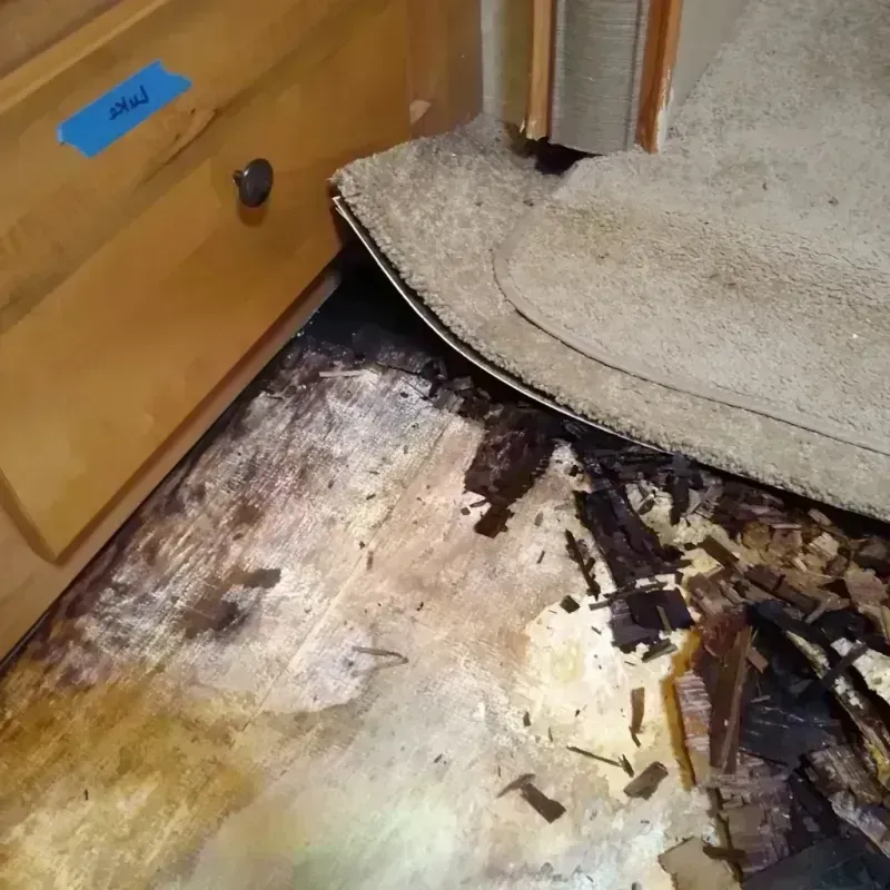 Best Wood Floor Water Damage Service in Bleckley County, GA